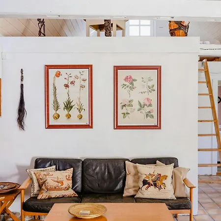 Thatched House Between Forest And Meadow