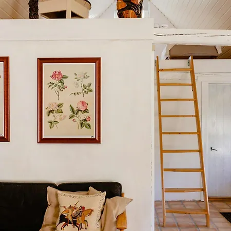 Thatched House Between Forest And Meadow * Kalundborg