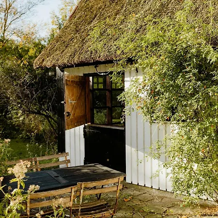 Thatched House Between Forest And Meadow Kalundborg