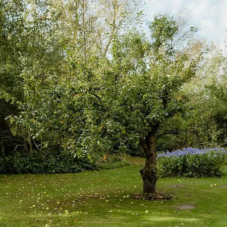 Vakantiehuis Thatched House Between Forest And Meadow Kalundborg