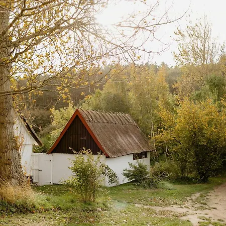Thatched House Between Forest And Meadow *