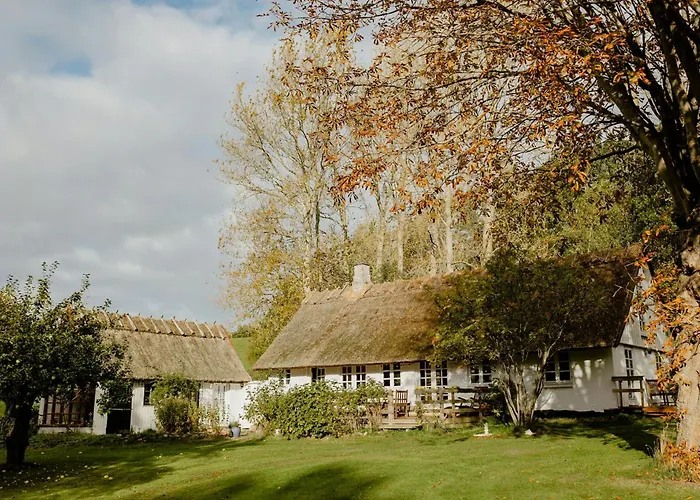 Thatched House Between Forest And Meadow 펜션