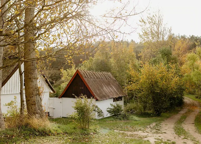 Thatched House Between Forest And Meadow * 칼룬드보르그
