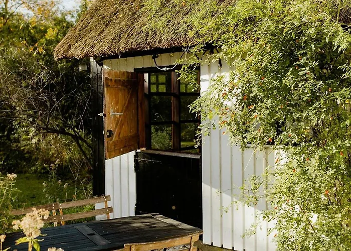 Thatched House Between Forest And Meadow 칼룬드보르그