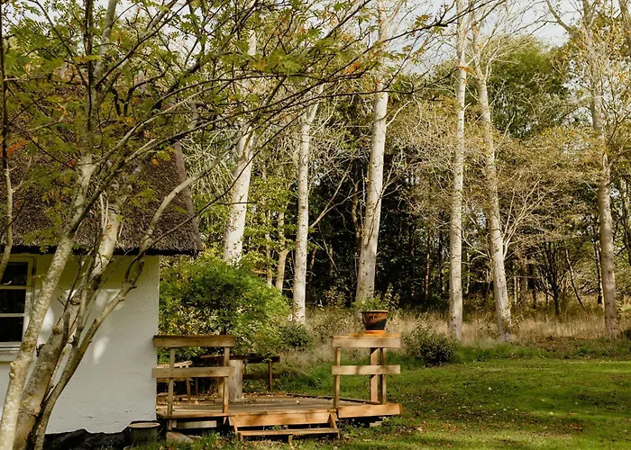 Thatched House Between Forest And Meadow * 칼룬드보르그